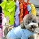 Рубашка цветная летняя стильная для собак