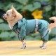 Дождевик-комбинезон "Звездный" для собак.